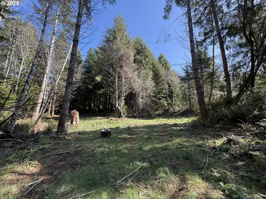 Cinnabar Lot 4, Glasgow, OR 97459 - #2