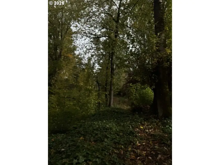 Levy Code 001, Portland, OR 97219 - #2