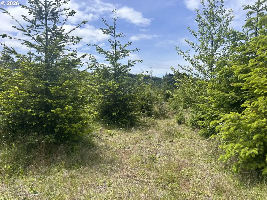 Eden Valley Rd, Rosburg, WA 98643 - #3