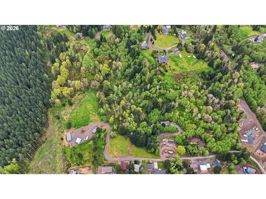 0 Lakeview Dr, Mossyrock, WA 98564 - #2