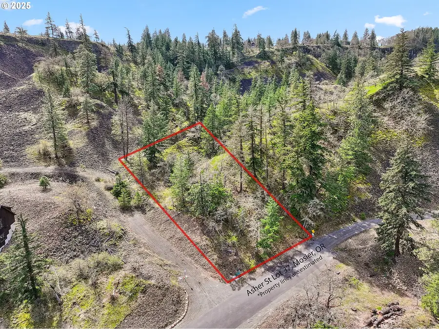 Asher Street #37, Mosier, OR 97040 - #2