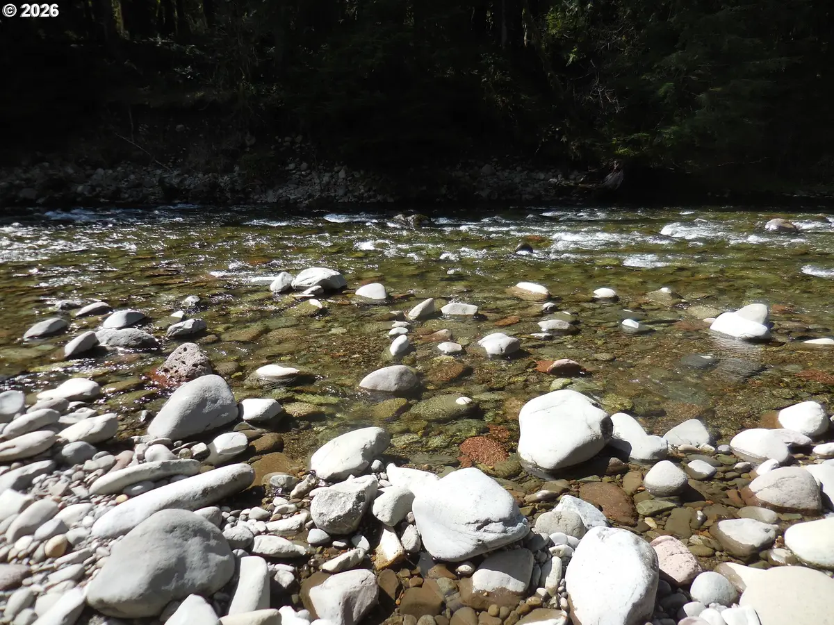 Welches Rd, Welches, OR 97067 - #1