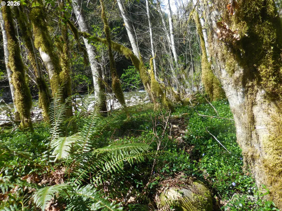 Welches Rd, Welches, OR 97067 - #3