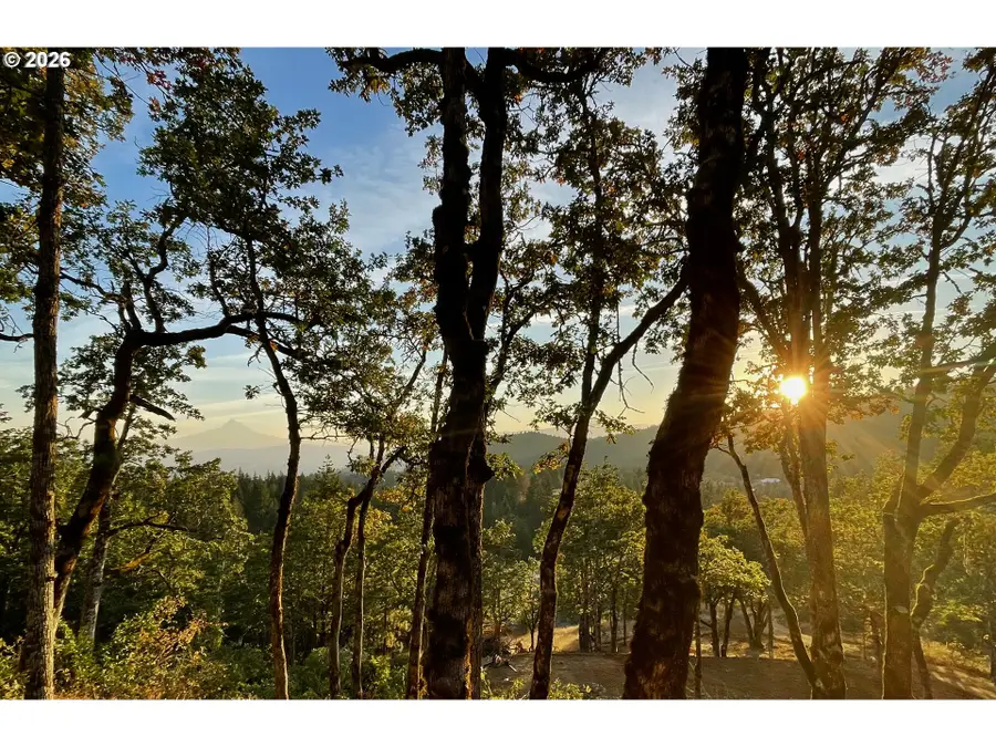 34 Jewett Creek Lp Rd, Bingen, WA 98672 - #2