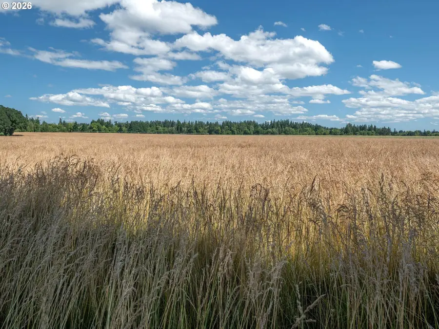 NW Scotch Church Rd, Hillsboro, OR 97124 - Image #3