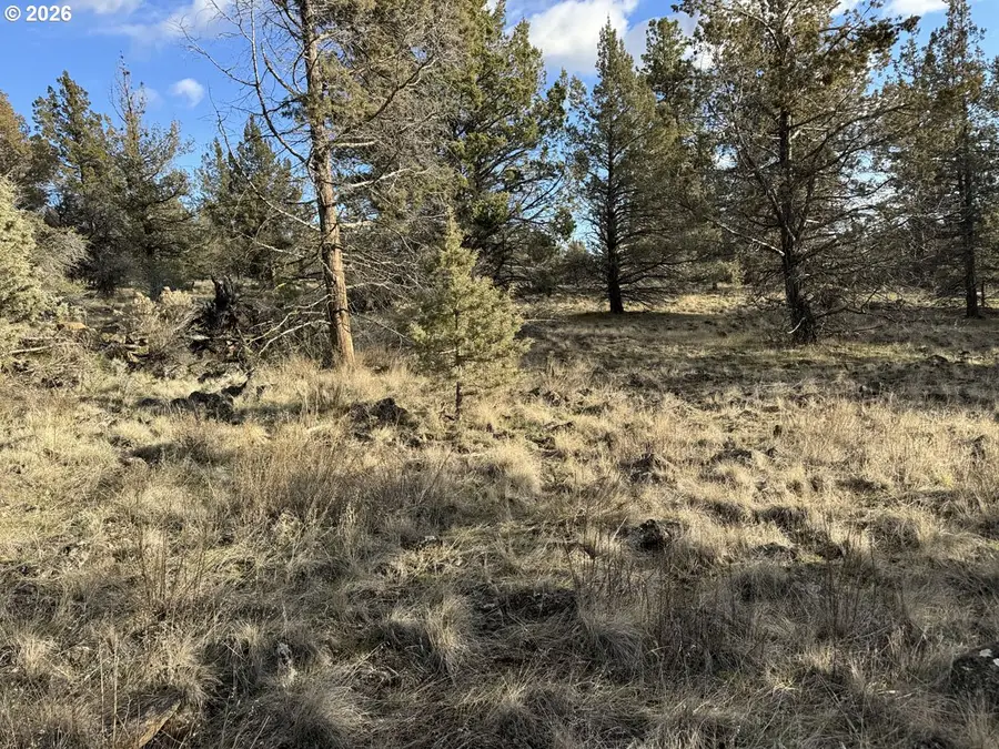 Canvasback Dr #35, Bonanza, OR 97623 - #2