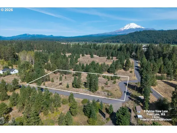 9 Pahtoe View Ln, TroutLake, WA 98650