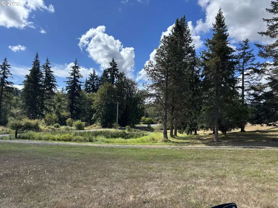30729 Beaver Homes Rd, Rainier, OR 97048 - #2
