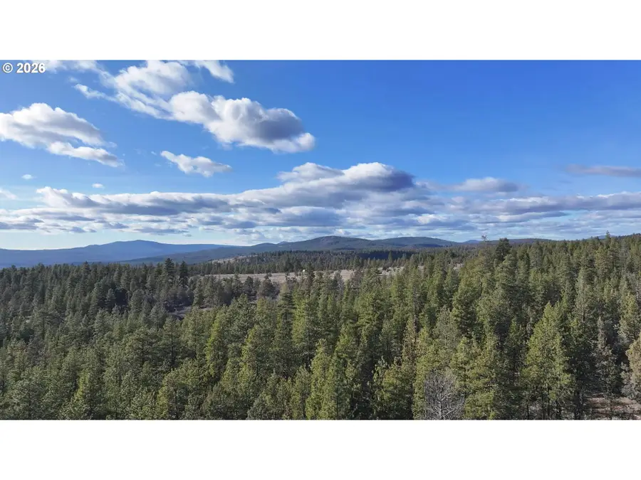 Badger Lane, Bonanza, OR 97623 - #2