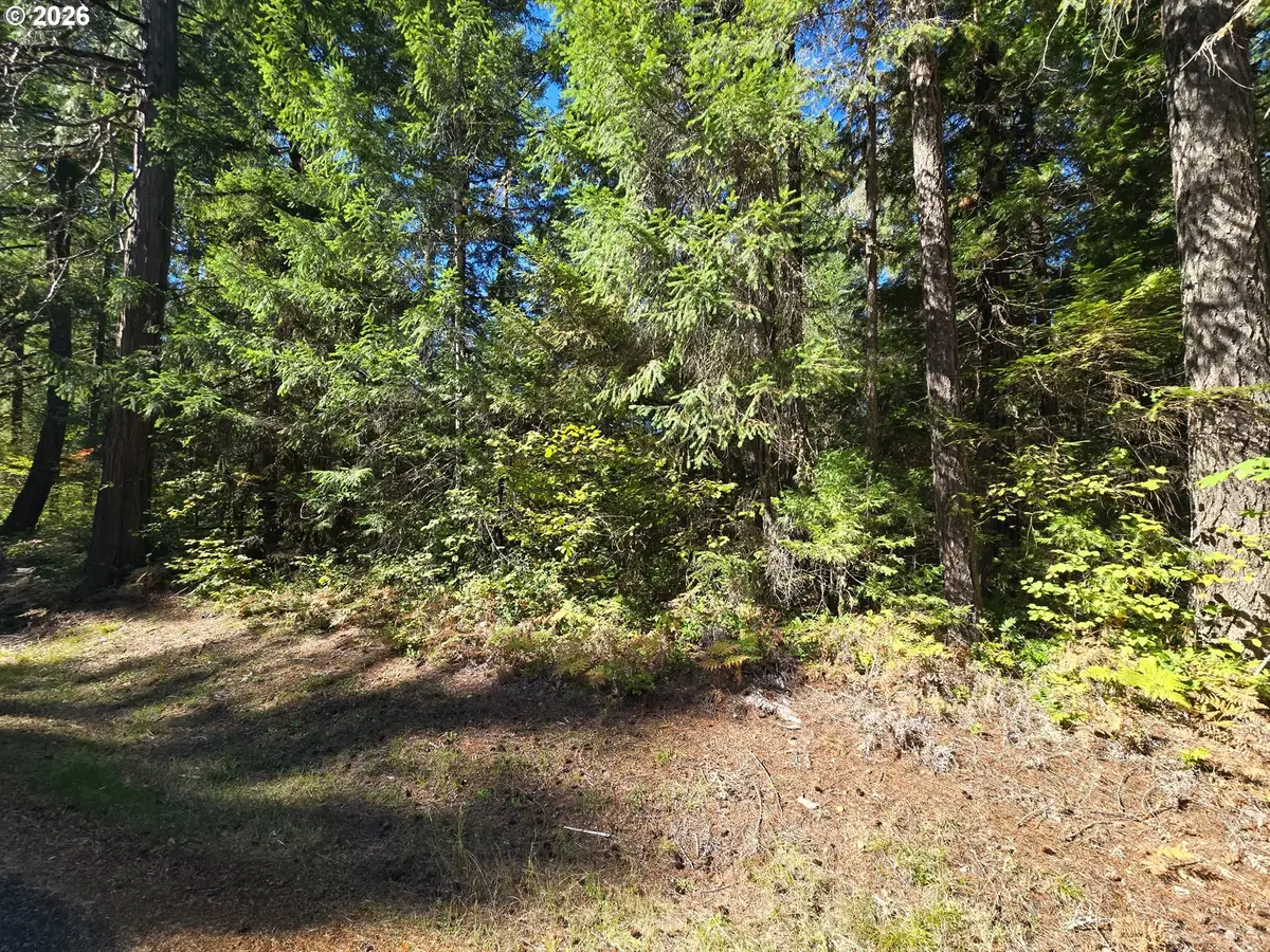 1655231000900, McKenzie River, OR 97413 - #1