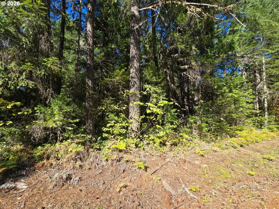 1655231000900, McKenzie River, OR 97413 - #3