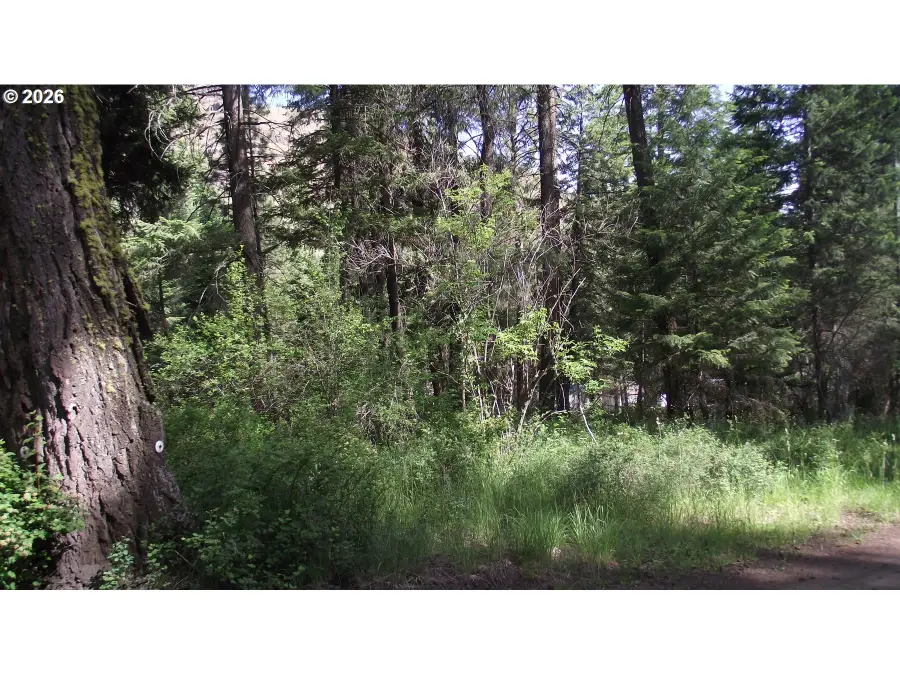 River Canyon Rd, Imnaha, OR 97842 - #2