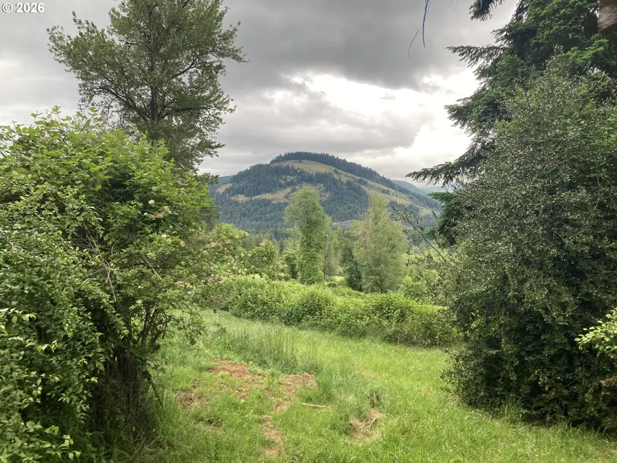 35009 Garoutte Rd, Cottage Grove, OR 97424 - #2
