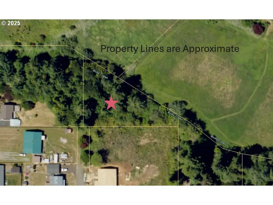 Dogwood, Coquille, OR 97423 - #2