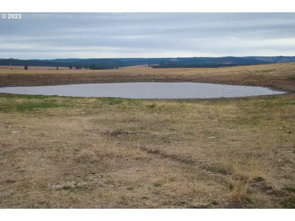 0 Lewis Rd, Enterprise, OR 97828
