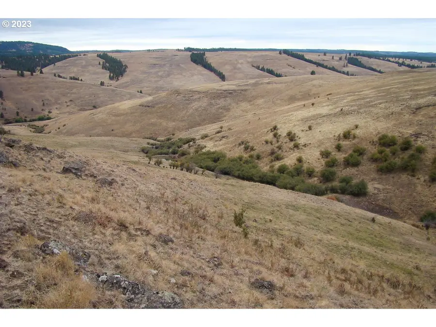 0 Lewis Rd, Enterprise, OR 97828 - #2