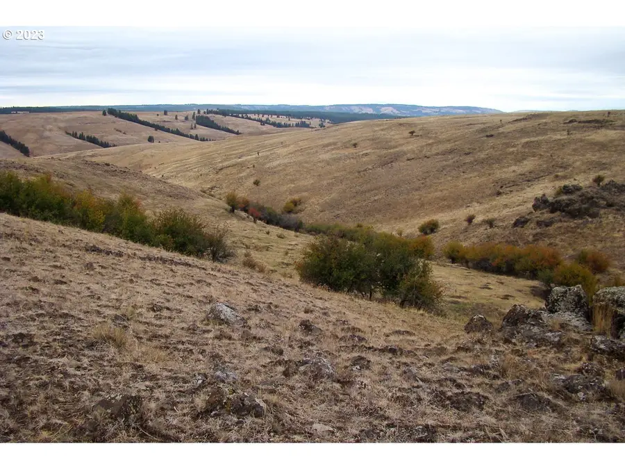 0 Lewis Rd, Enterprise, OR 97828 - #3