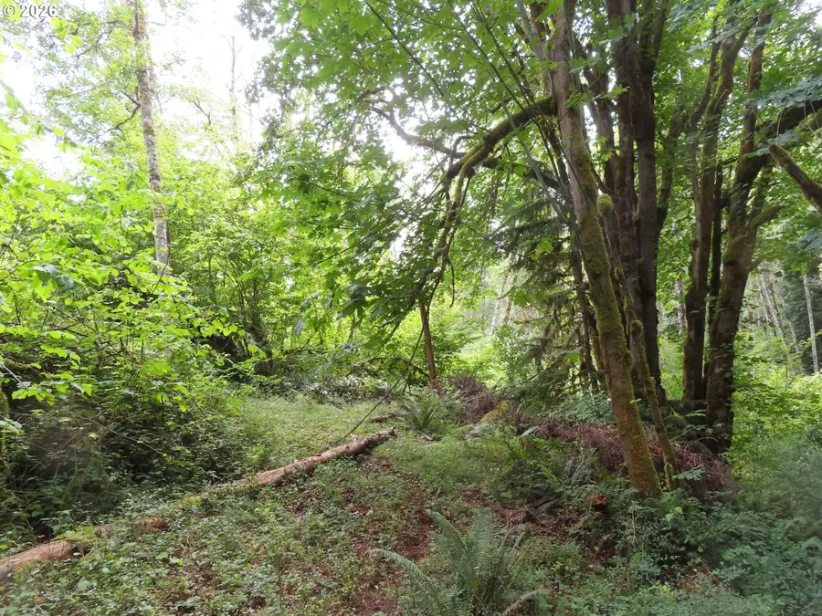 Valley View Dr #11, Mossyrock, WA 98564 - #2