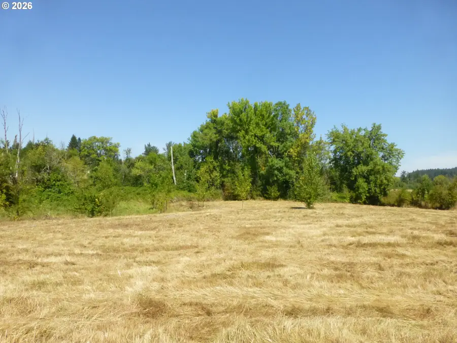 11062 SE 172nd Ave, Happy Valley, OR 97086 - #3