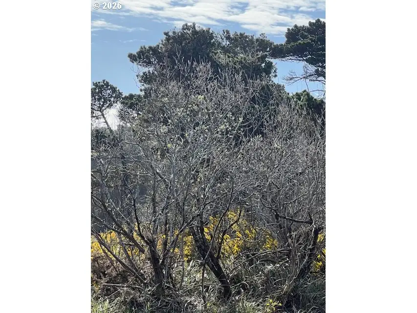 00 18th St Sw, Bandon, OR 97411 - #2