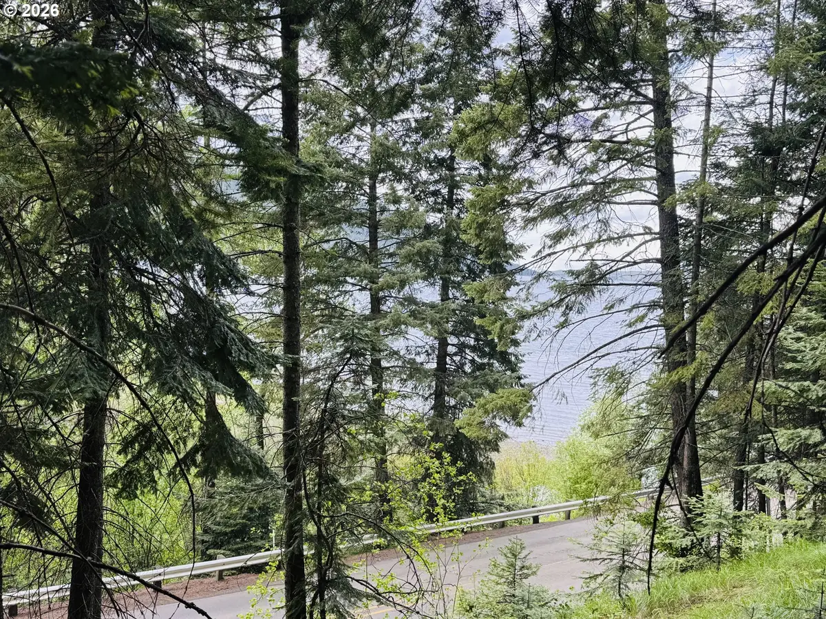 0 Forest Dell Rd, Joseph, OR 97846 - #1