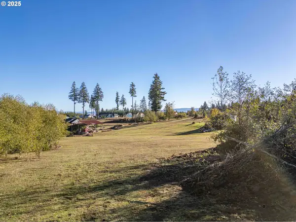 1480 S Silver Lake Rd, CastleRock, WA 98611