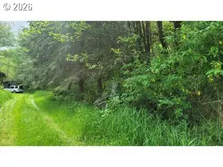 Svensen Market Rd., Astoria, OR 97103 - #3