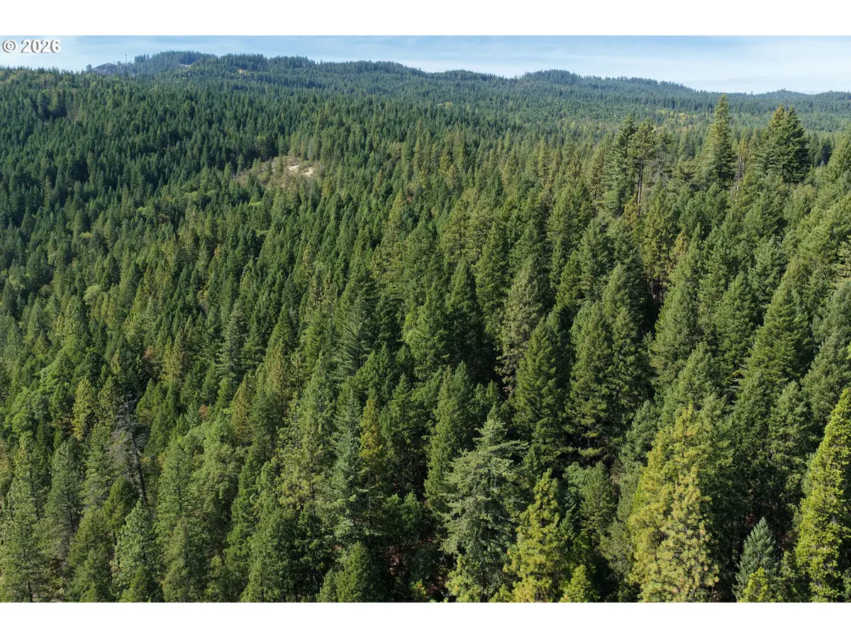 0 Ulrich Rd, Prospect, OR 97536 - #1