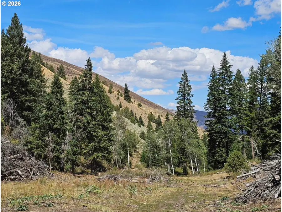 Clarks Creek Rd, Bridgeport, OR 97819 - #2