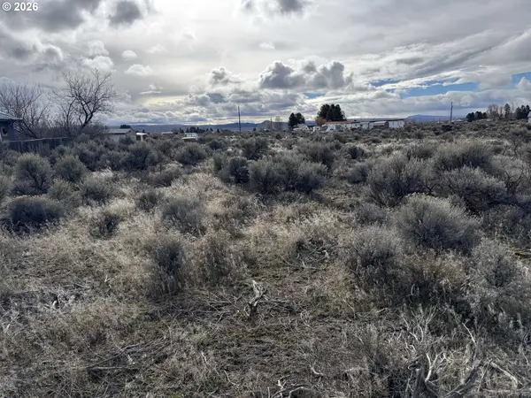 Cypress Street #1200, ChristmasValley, OR 97641