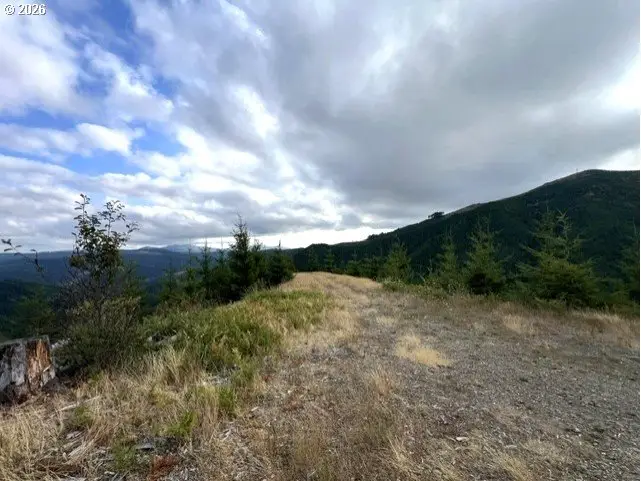 Northforkgalescreek, Timber, OR 97144 - #2
