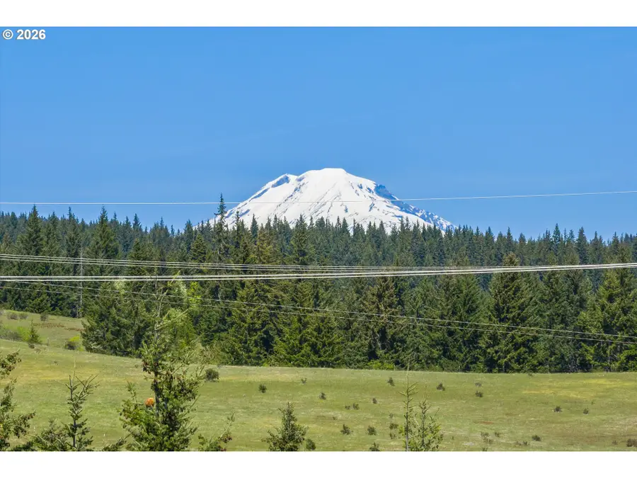 55 Pyatt Rd, White Salmon, WA 98672 - #3