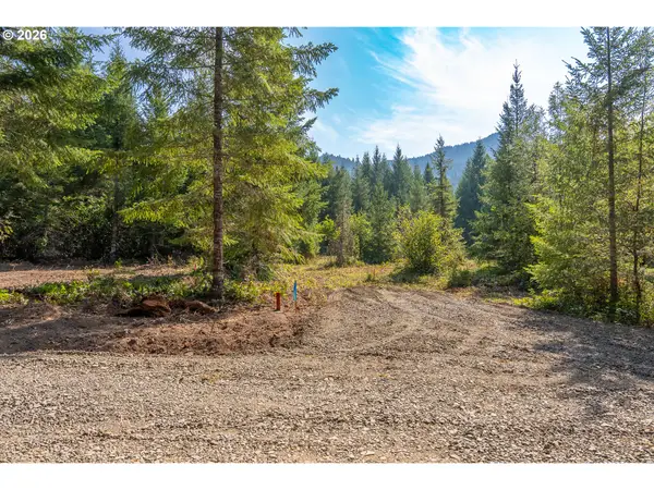 Hawk Meadows Rd #4, Carson, WA 98610