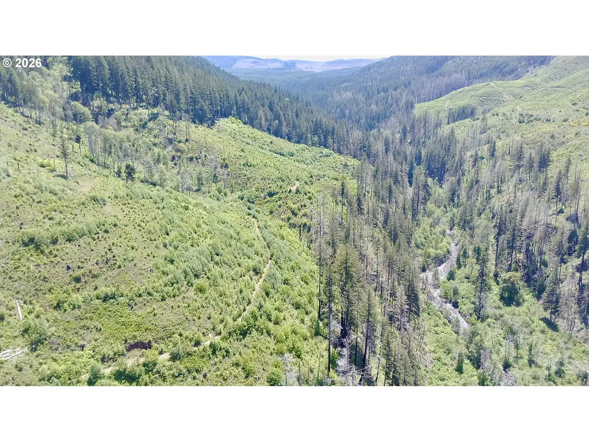 Crooked Finger Rd., Scotts Mills, OR 97375 - #1