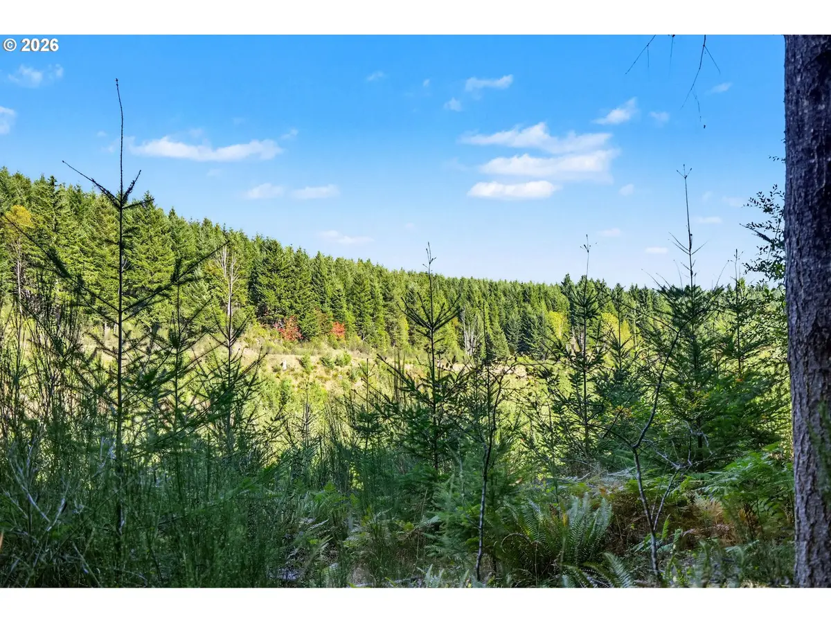 2804 Spring Villa Rd, Silverton, OR 97381 - #1