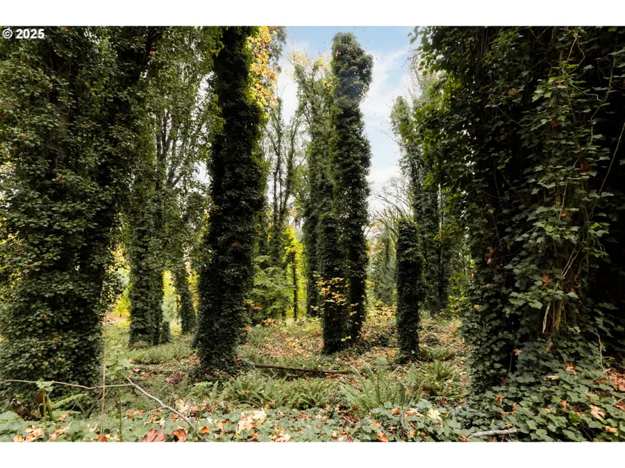 0 Lindberg Rd, Rainier, OR 97048 - Image #2