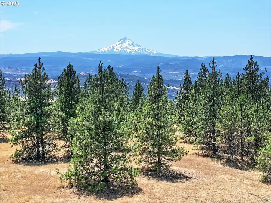 4 Murdock Rd, Lyle, WA 98635 - #2