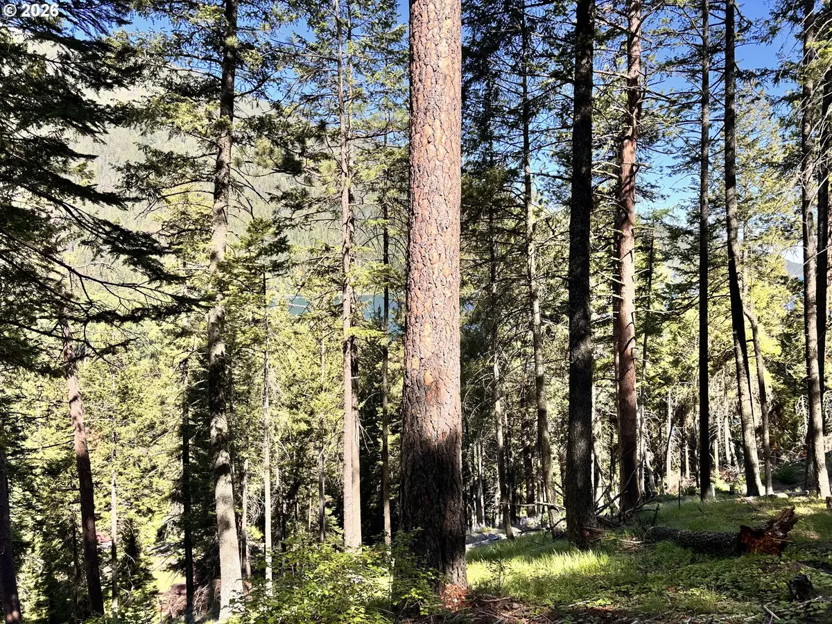 Arapahoe Rd, Joseph, OR 97846 - #1