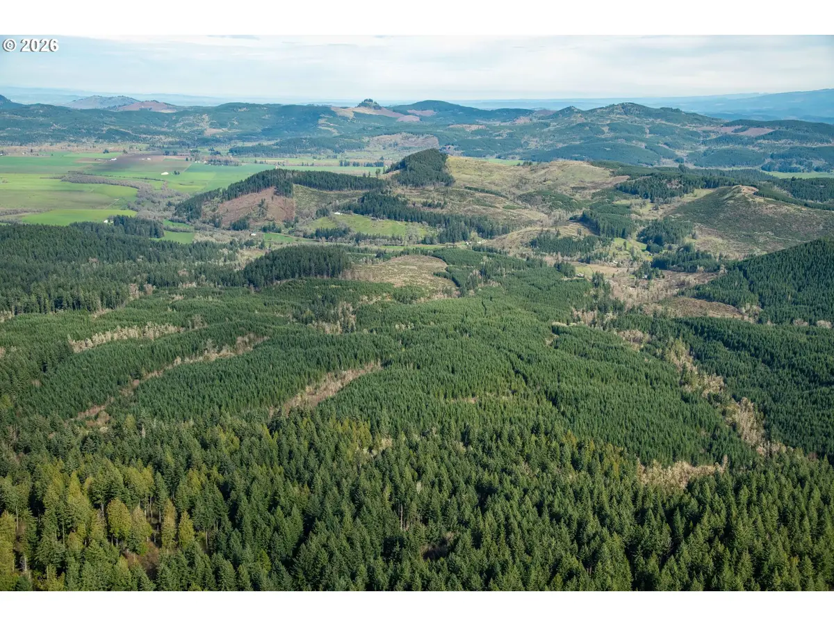 Courtney Creek Dr, Brownsville, OR 97327 - #1