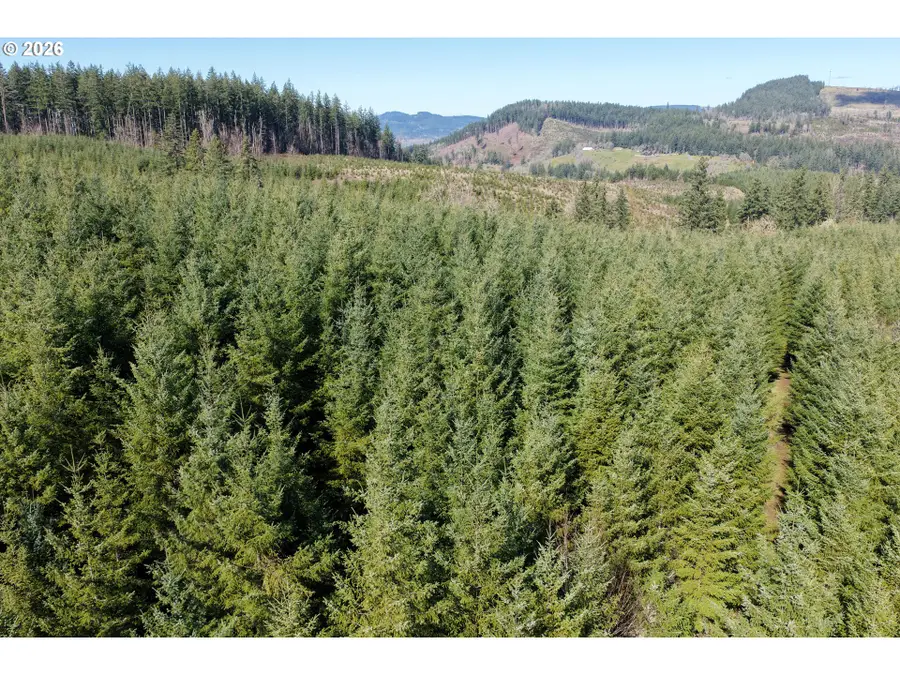 Courtney Creek Dr, Brownsville, OR 97327 - #2