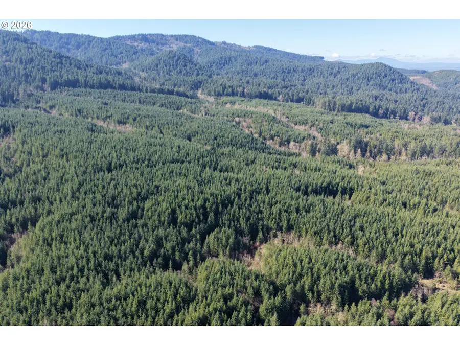 Courtney Creek Dr, Brownsville, OR 97327 - #3