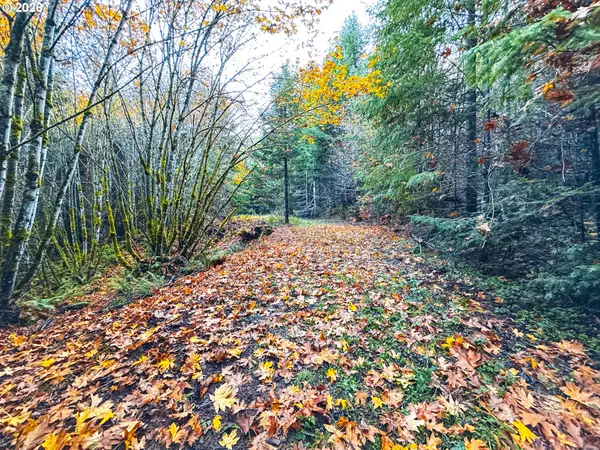 La Duke Rd #TL105, Westfir, OR 97492