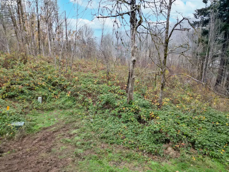 11065 Winstanley, Lyons, OR 97358 - Image #3