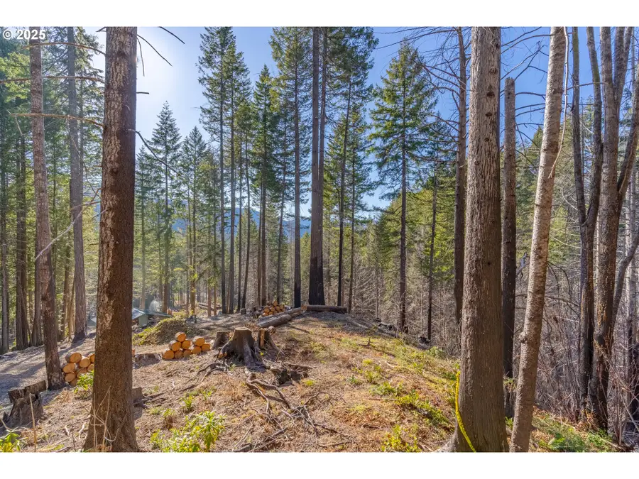 135 E Weber St, Detroit, OR 97342 - Image #3