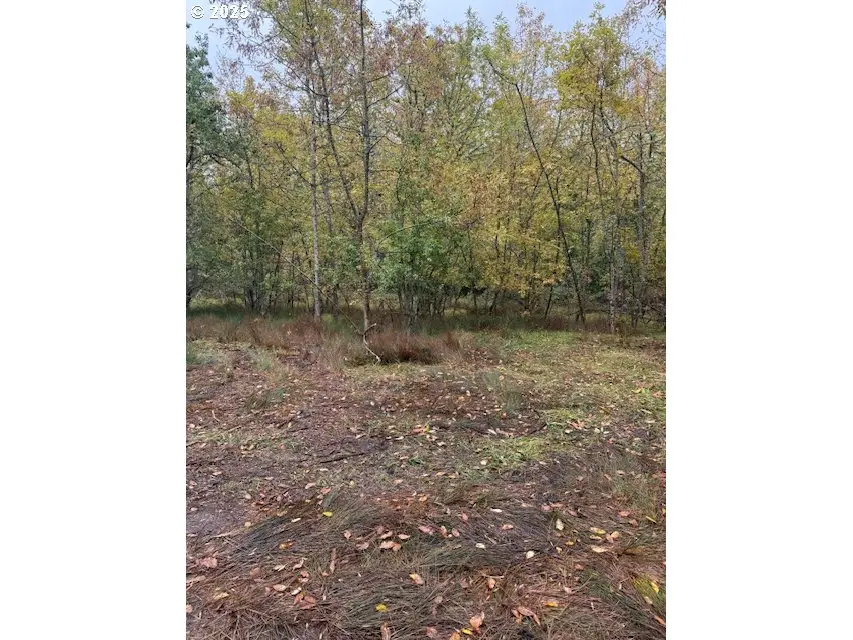 Mountain Home Dr, Brownsville, OR 97327 - Image #1