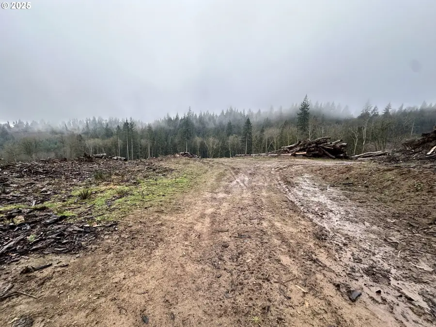 0 Terry Rd, Rainier, OR 97048 - Image #2
