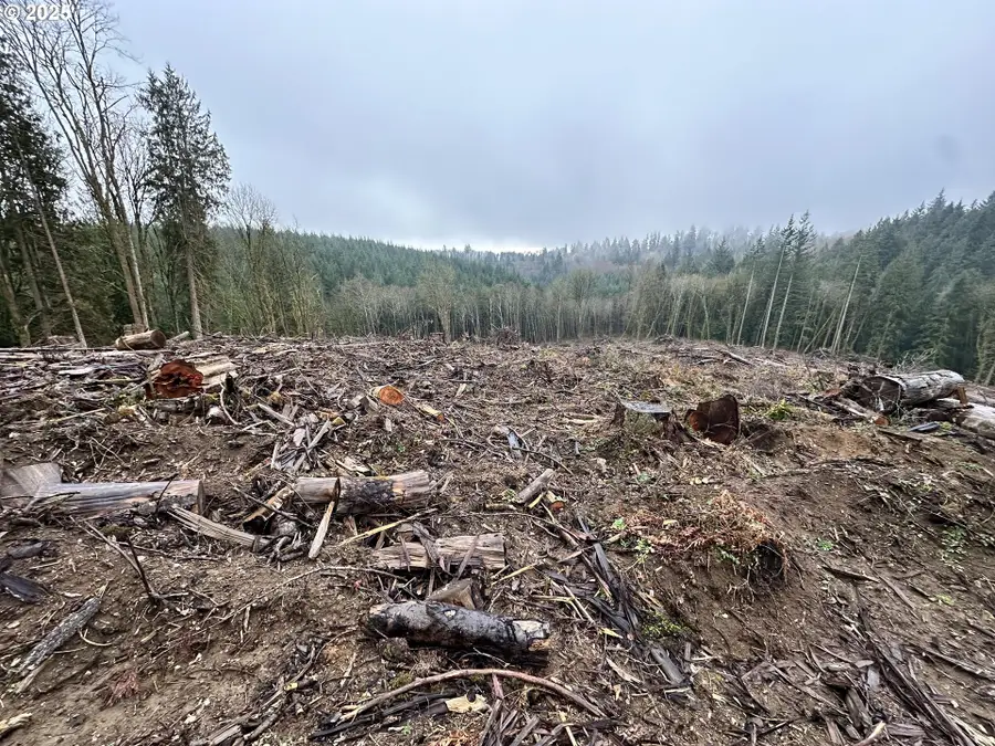 0 Terry Rd, Rainier, OR 97048 - Image #3