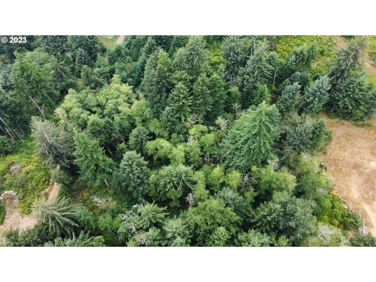 Tl 400 Erhart Rd, Florence, OR 97439 - #1