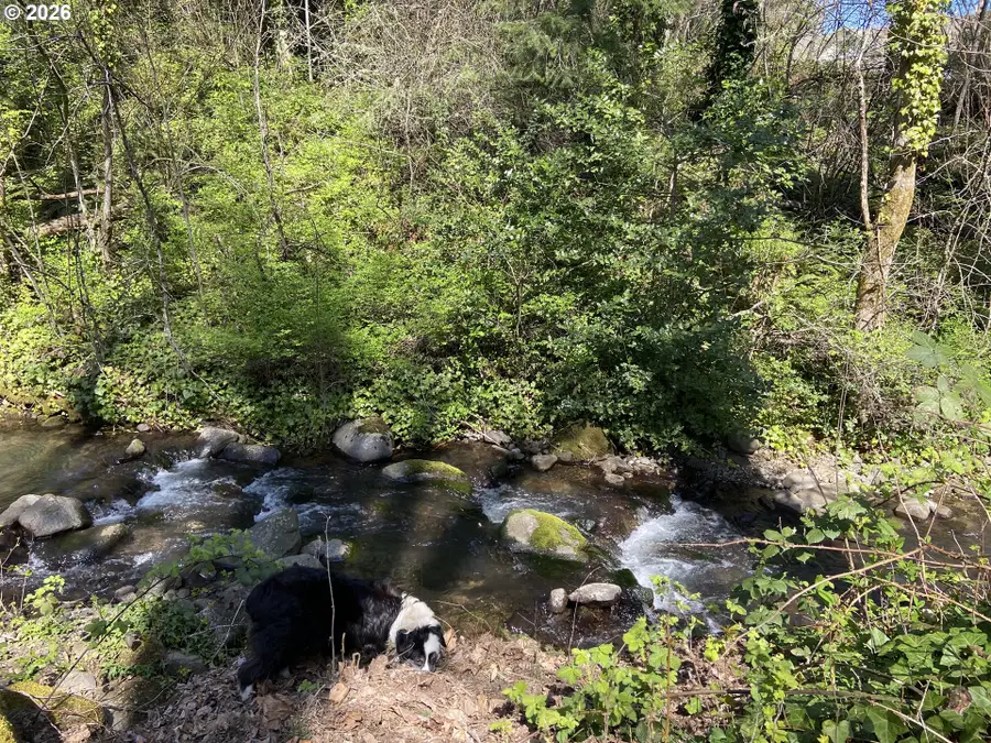460 NW Kanaka Creek Rd, Stevenson, WA 98648 - #2