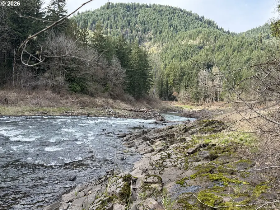 Big Fall Creek Rd #802, Fall Creek, OR 97438 - #3